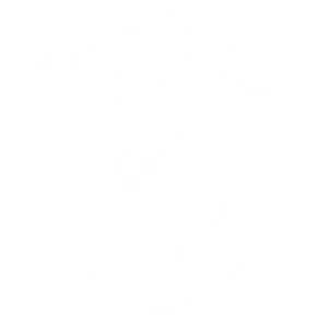 icon (1)